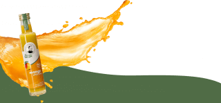 _wpframe_custom/gallery/files/wpf_sitemanager/t_flaeche_mit_saucepng_1615293784.png