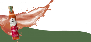 _wpframe_custom/gallery/files/wpf_sitemanager/t_flaeche_mit_saucepng_1615383744.png
