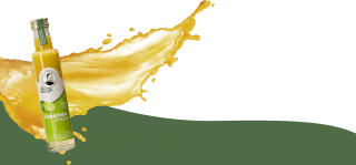 _wpframe_custom/gallery/files/wpf_sitemanager/t_flaeche_mit_saucepng_1615384512.png