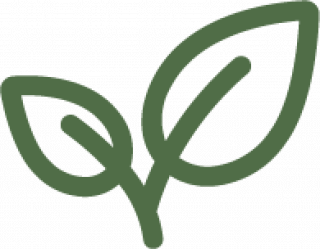 _wpframe_custom/gallery/files/wpf_sites_paragraphs_parts/t_icons_saucen-04png_1615544860.png